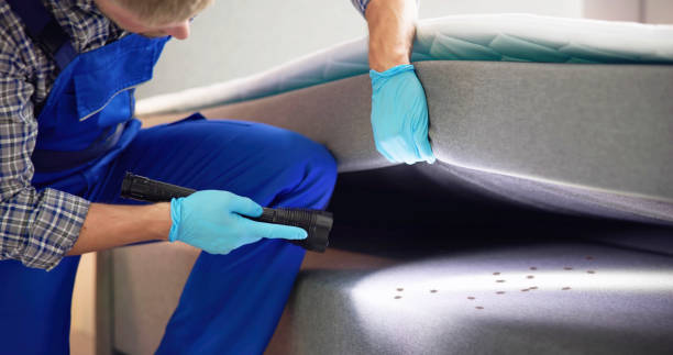 Trusted Tiffin, IA Pest Control Experts