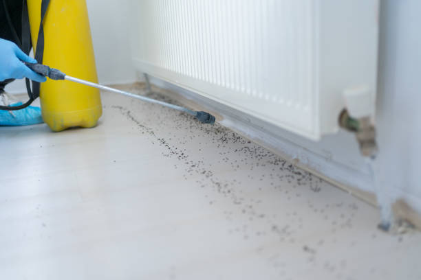 Best Mosquito Control Services  in Tiffin, IA